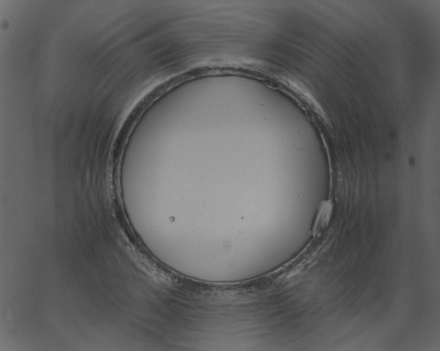 X0000062670976200601111239