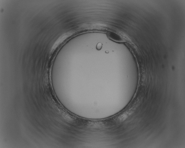 X0000062670978200601111239