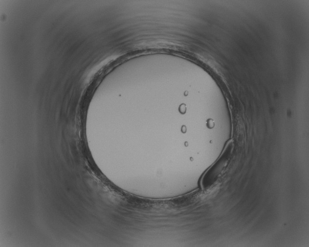 X0000062670979200601111239