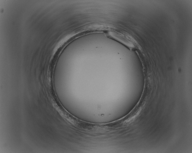 X0000062670981200601111239