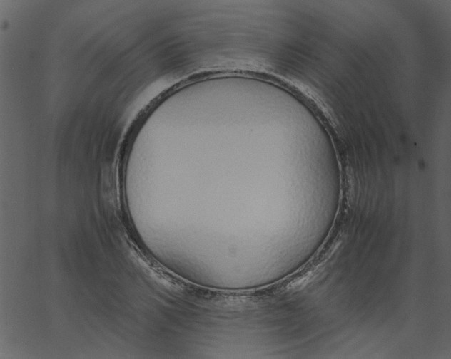 X0000062670982200601111239