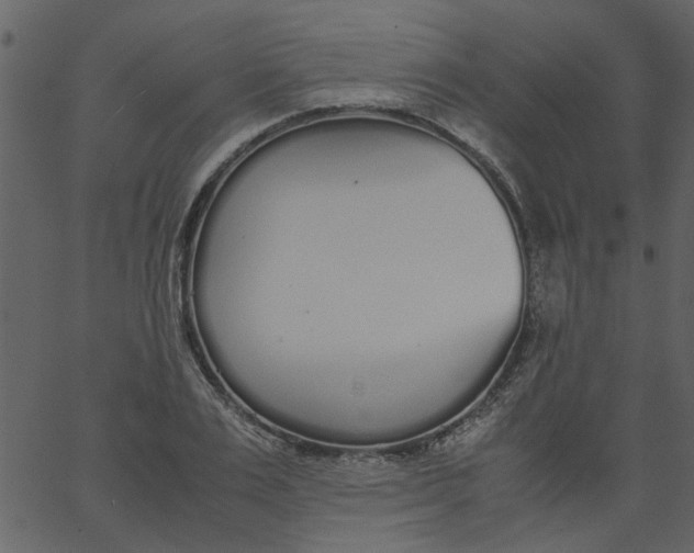 X0000062670983200601111239