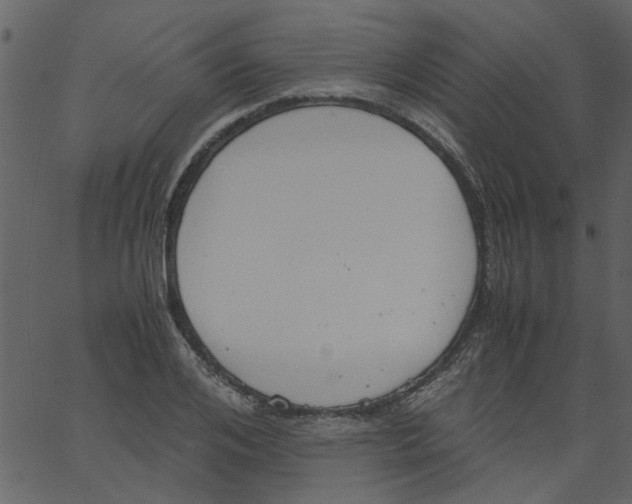 X0000062670984200601111239