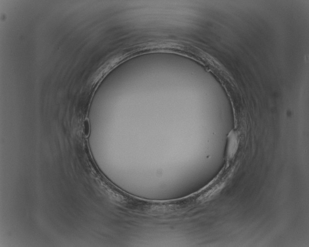 X0000062670985200601111239