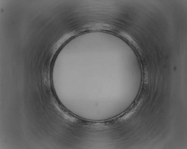 X0000062670986200601111239