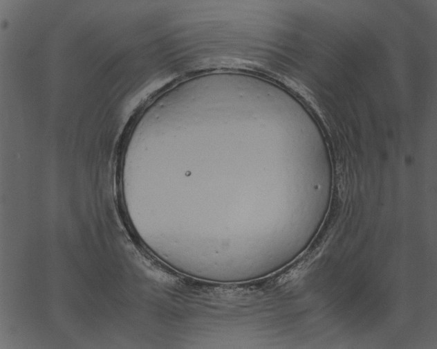 X0000062670987200601111239