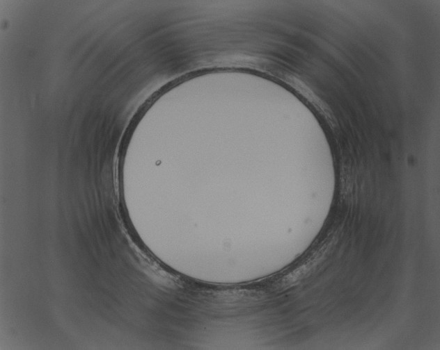 X0000062670988200601111239