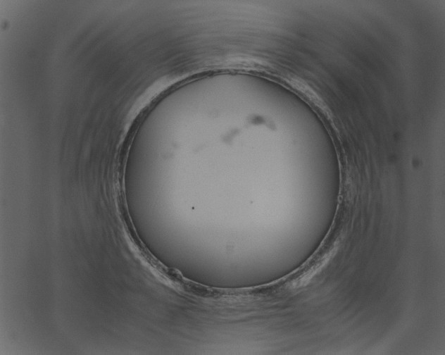 X0000062670989200601111239