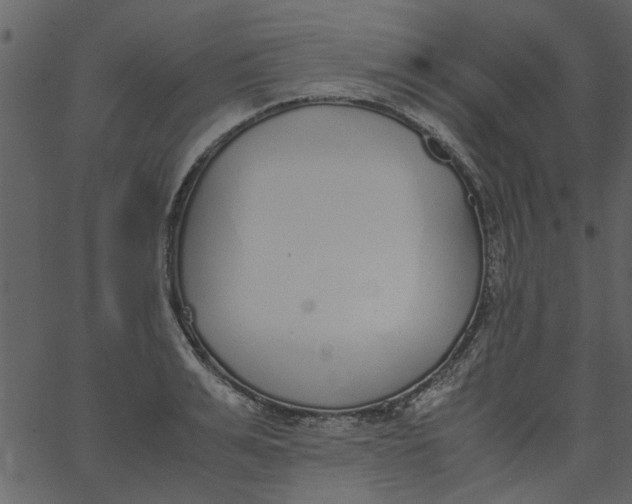 X0000062670991200601111239