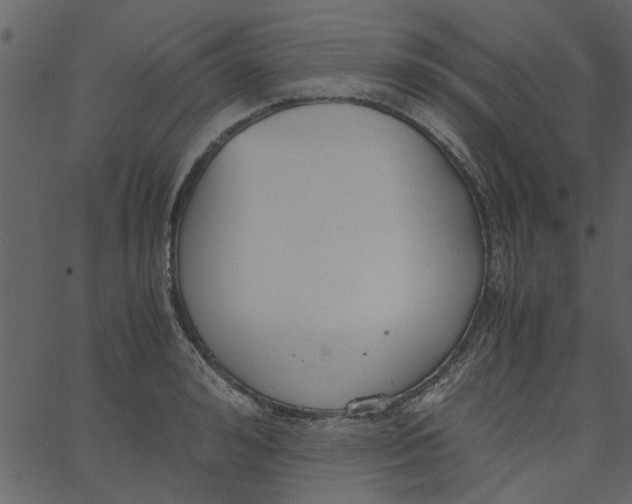 X0000062670992200601111239