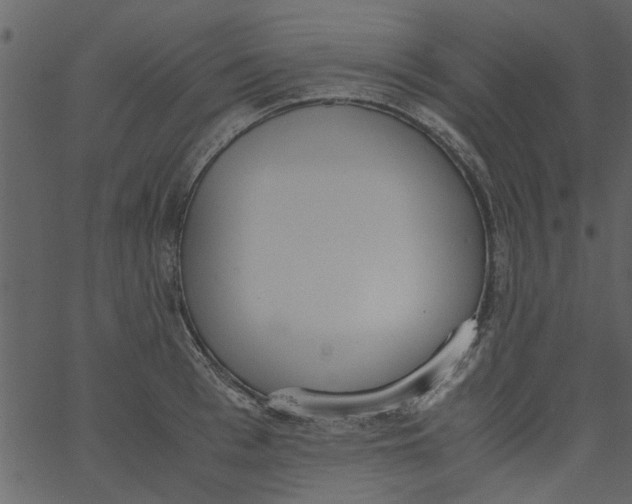 X0000062670993200601111239