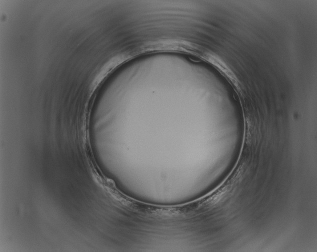 X0000062670994200601111239