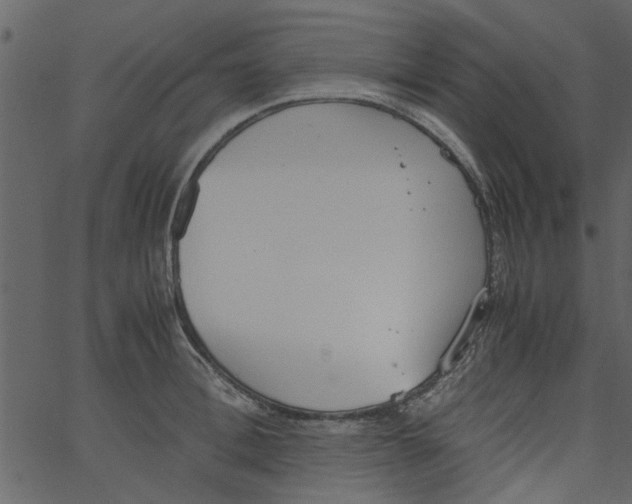 X0000062670996200601111239