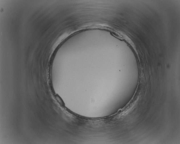 X0000062670997200601111239