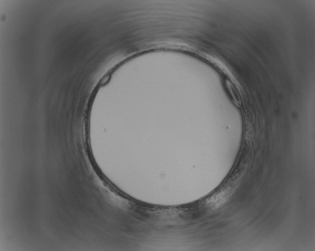 X0000062670999200601111239