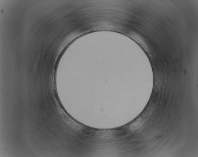 X0000062671000200601111239