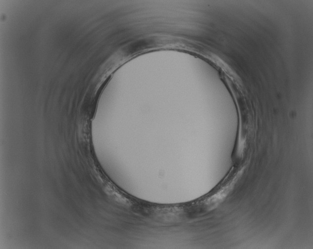 X0000062671001200601111239