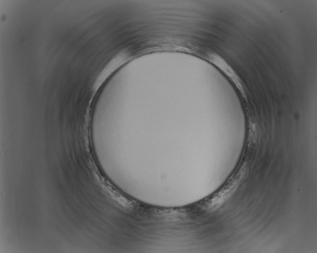 X0000062671002200601111239