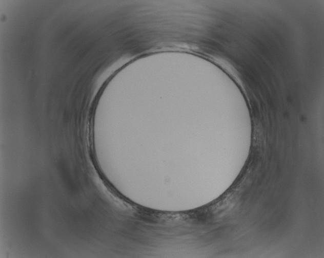 X0000062671003200601111239