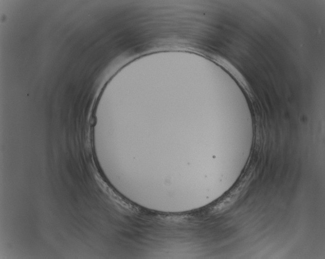 X0000062671004200601111239