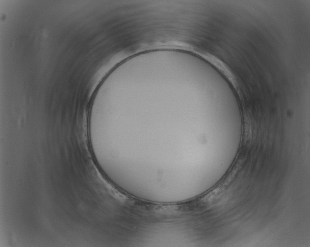 X0000062671006200601111239