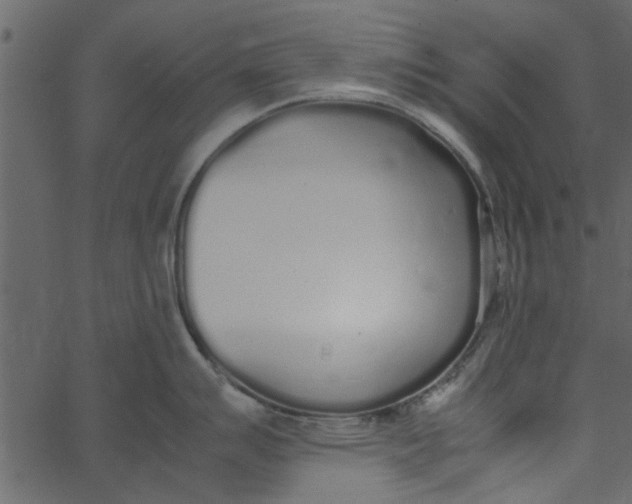 X0000062671007200601111239