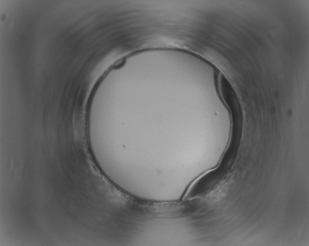 X0000062671008200601111239