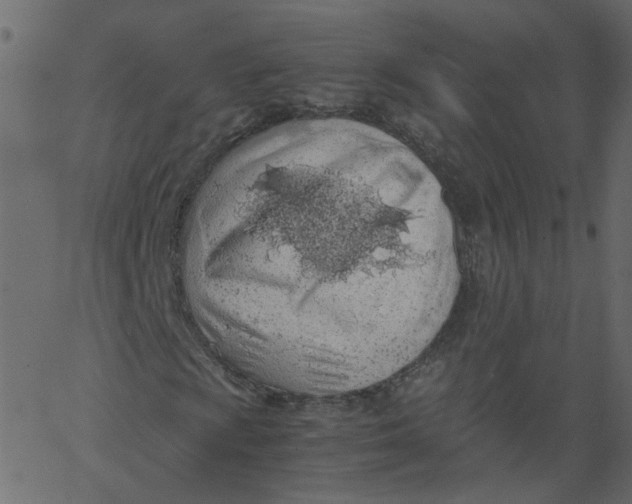 X0000062671009200601111238