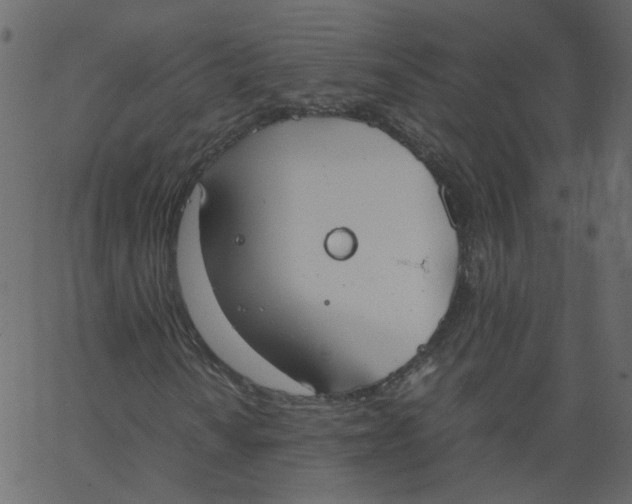 X0000062671010200601111238