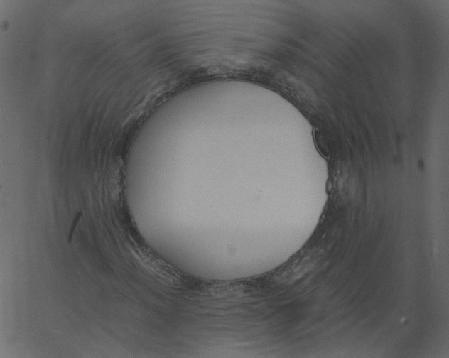 X0000062671012200601111238