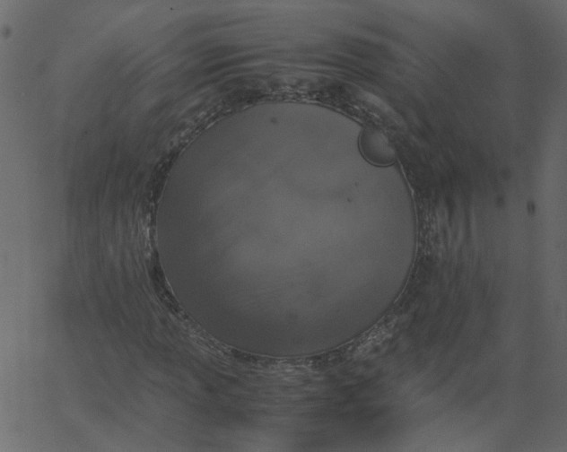 X0000062671013200601111238