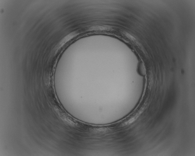 X0000062671017200601111238