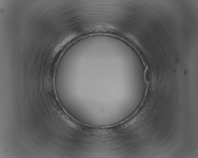 X0000062671018200601111238