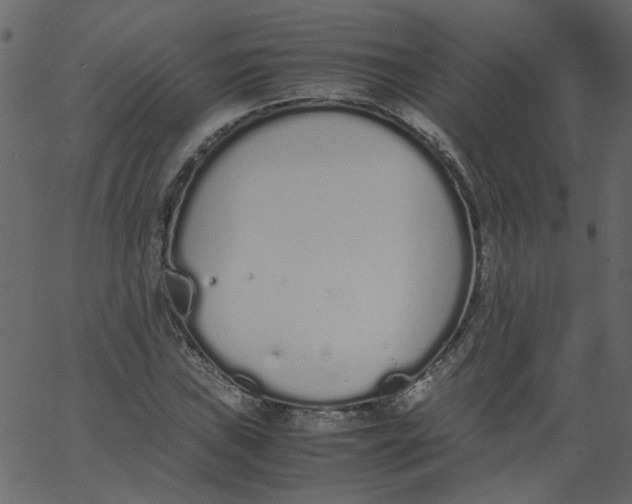 X0000062671019200601111238