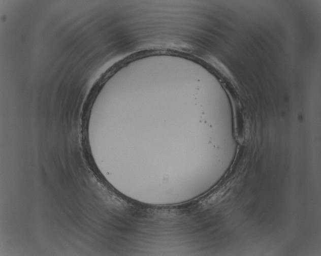 X0000062671020200601111238