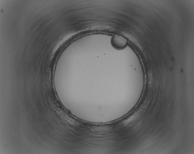 X0000062671021200601111238