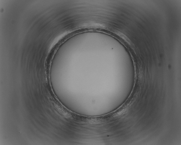 X0000062671022200601111238