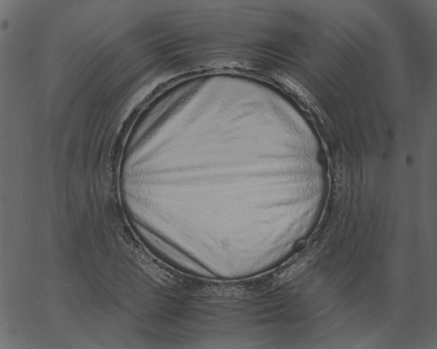 X0000062671023200601111238