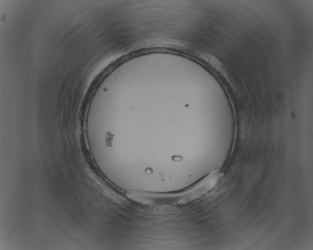 X0000062671024200601111238