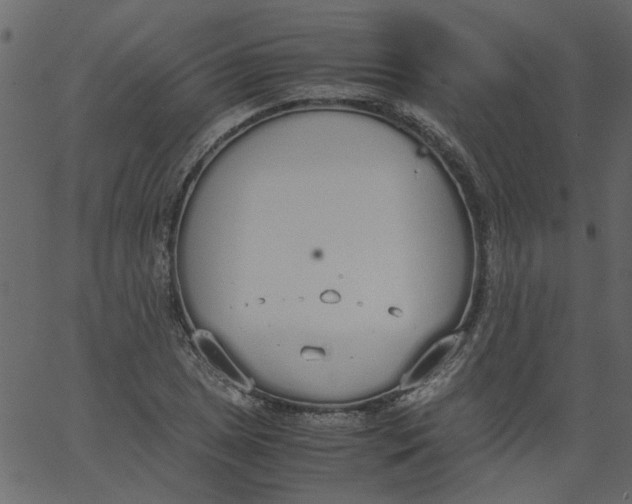 X0000062671025200601111238