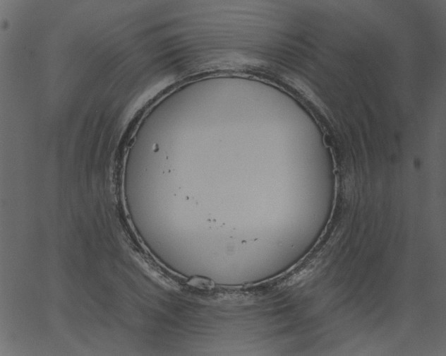 X0000062671026200601111238