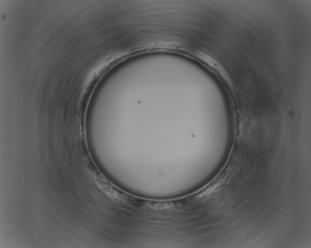 X0000062671027200601111238