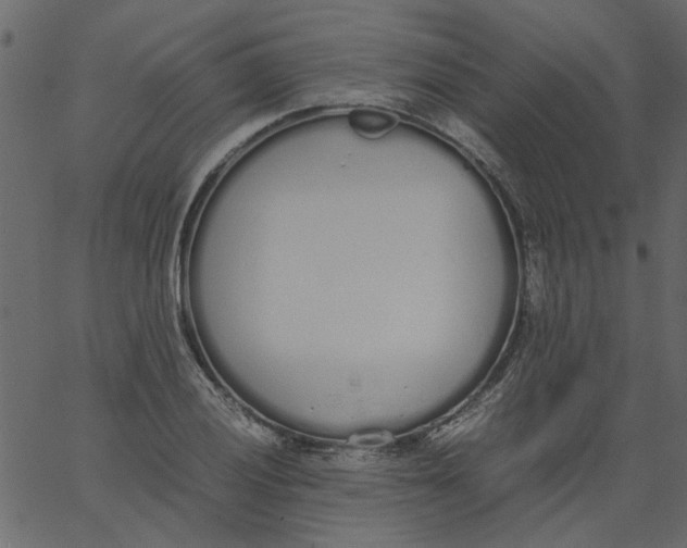 X0000062671028200601111238