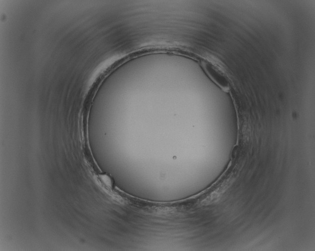 X0000062671030200601111239