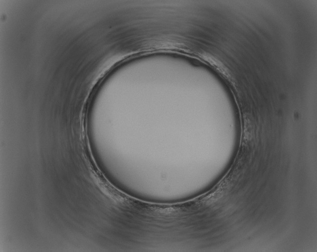 X0000062671031200601111239