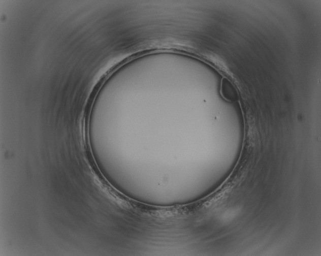 X0000062671032200601111239