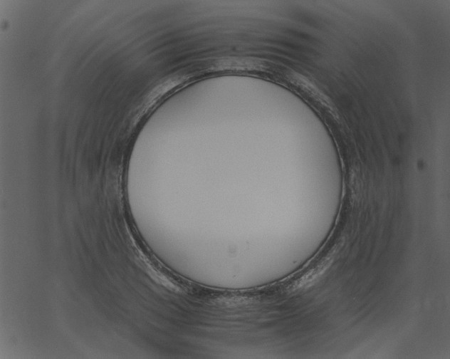 X0000062671033200601111239