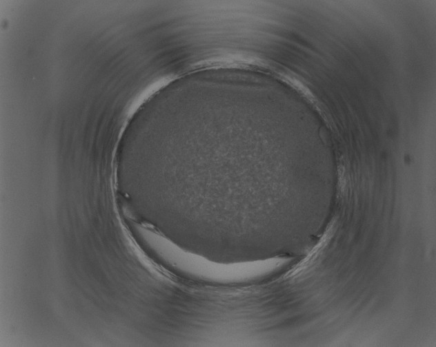 X0000062671034200601111239