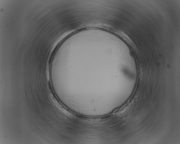 X0000062671036200601111239