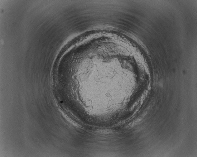 X0000062671037200601111239